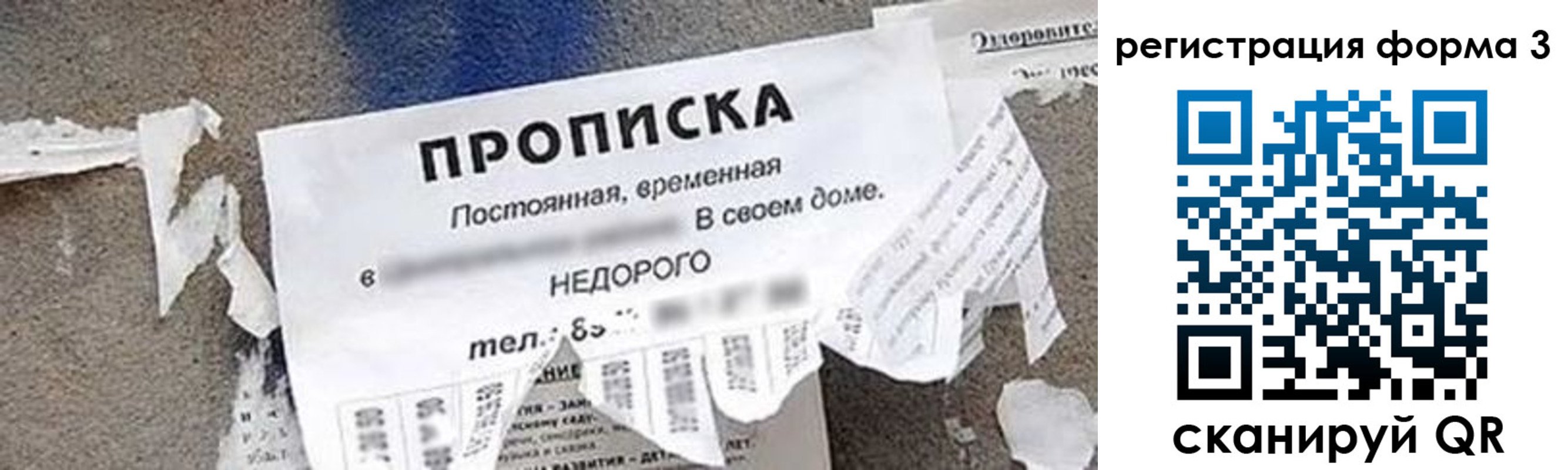 прописка 2025 в Талдоме